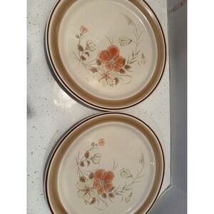 Water Color Hearthside Blush Dinner Plates Hand painted Set Of 2